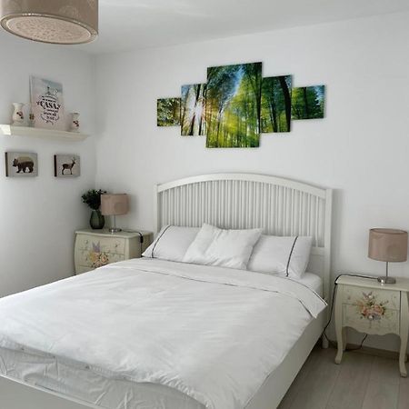 Apartament Primaverii Apartment ริชนอฟ ภายนอก รูปภาพ