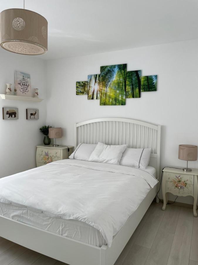 Apartament Primaverii Apartment ริชนอฟ ภายนอก รูปภาพ